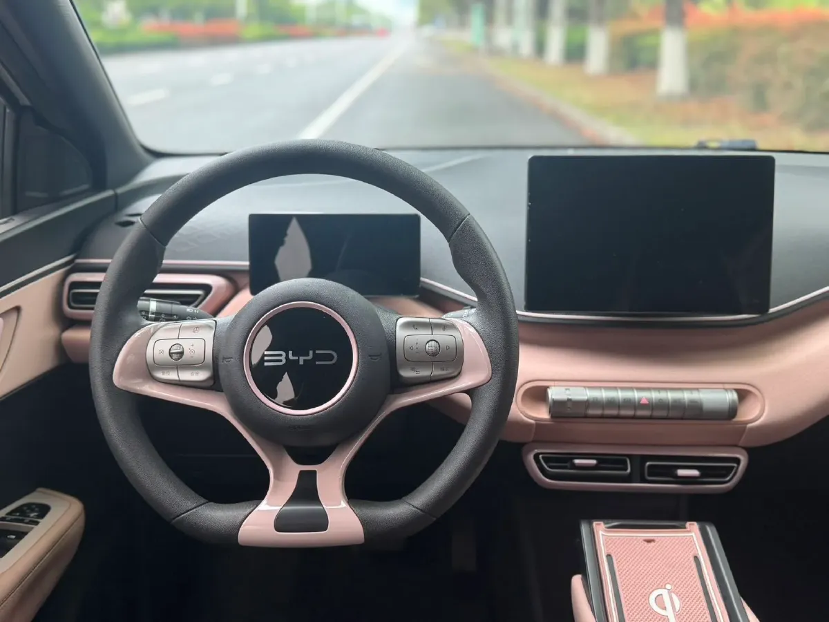 2024 BYD Seagull BEV 30.08KWH,autocango,china used car exporter,china ev exporter,chinese used car exporter,chinese used ev exporter