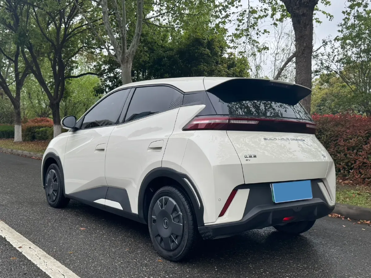 2024 BYD Seagull BEV 30.08KWH,autocango,china used car exporter,china ev exporter,chinese used car exporter,chinese used ev exporter