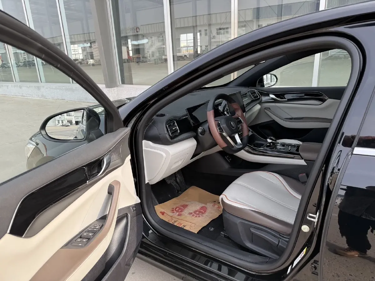 2023 BYD Qin Plus 1.5L 110HP L4 E-CVT PHEV 18.32KWH,autocango,china used car exporter,china ev exporter,chinese used car exporter,chinese used ev exporter