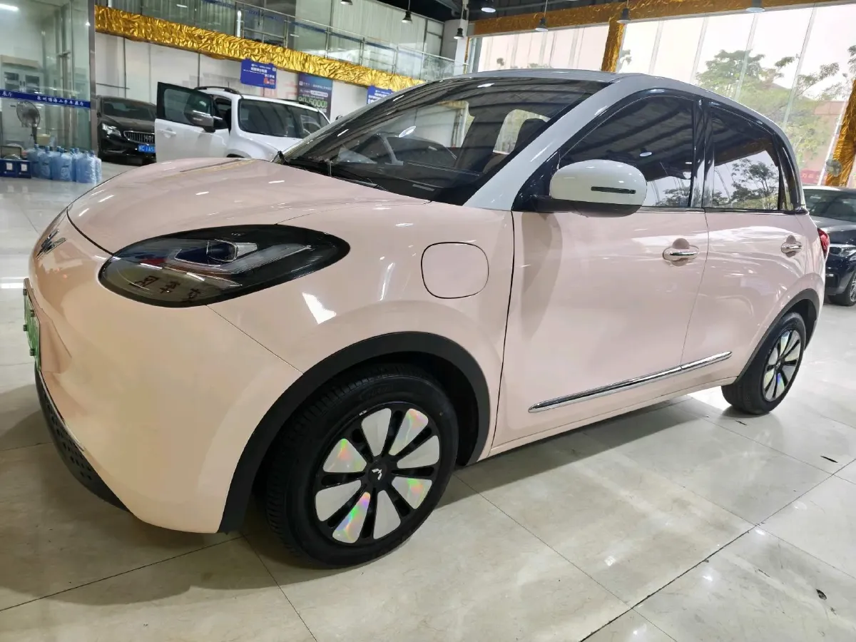 2024 WuLing BinGuo BEV 31.9KWH,autocango,china used car exporter,china ev exporter,chinese used car exporter,chinese used ev exporter