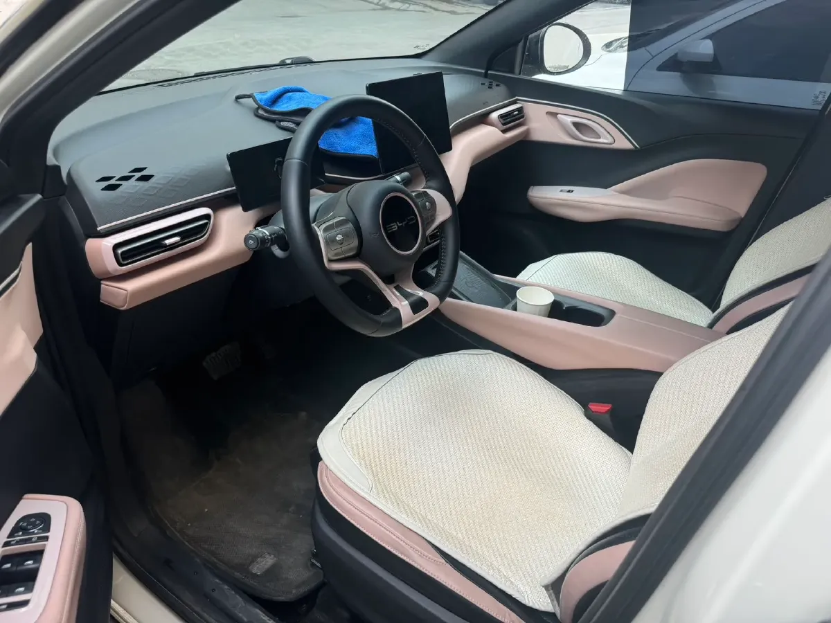 2024 BYD Seagull BEV 30.08KWH,autocango,china used car exporter,china ev exporter,chinese used car exporter,chinese used ev exporter