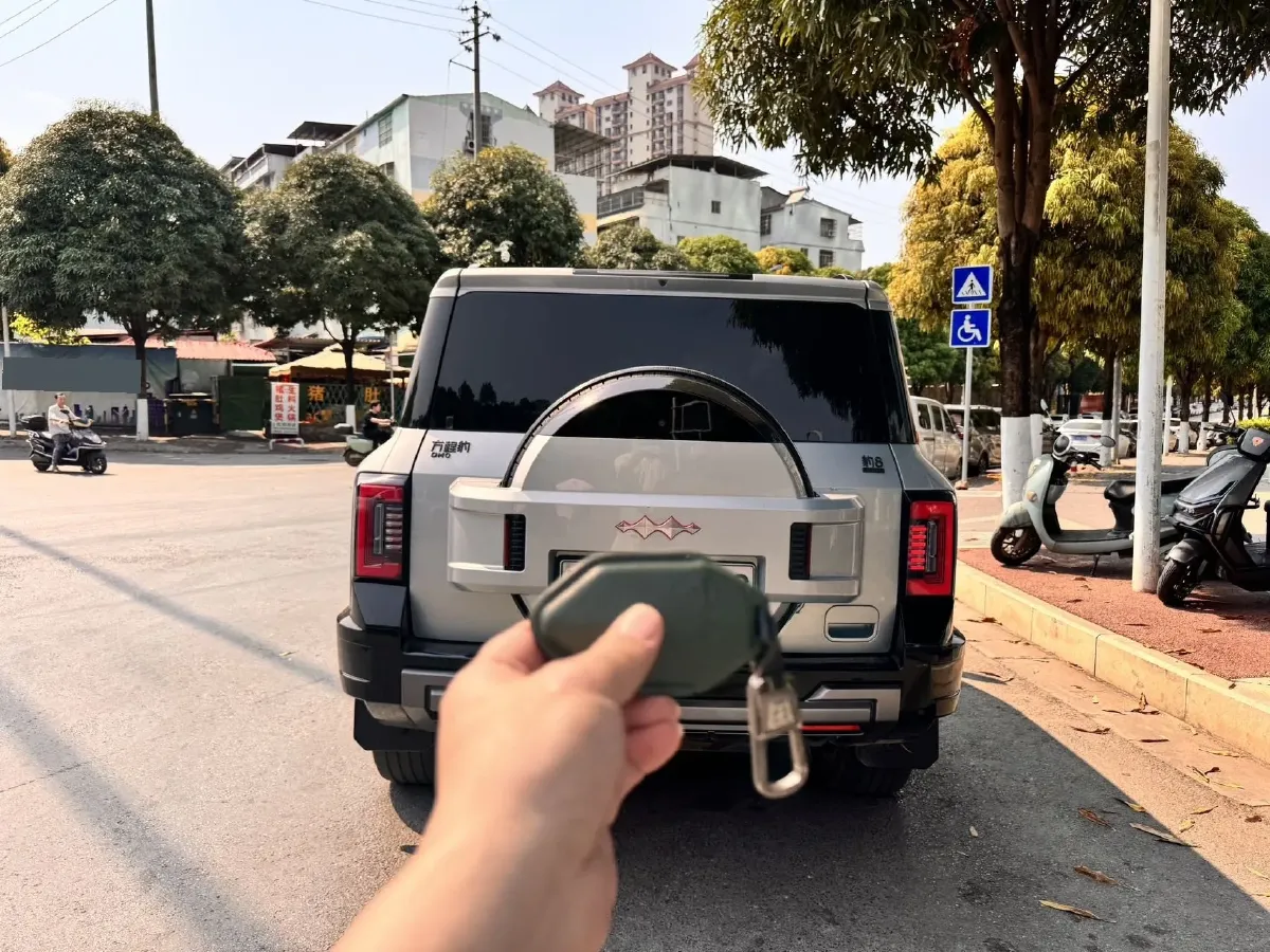 2025 FangChengBao Bao 8 2.0T 245HP L4 E-CVT PHEV 36.8KWH,autocango,china used car exporter,china ev exporter,chinese used car exporter,chinese used ev exporter