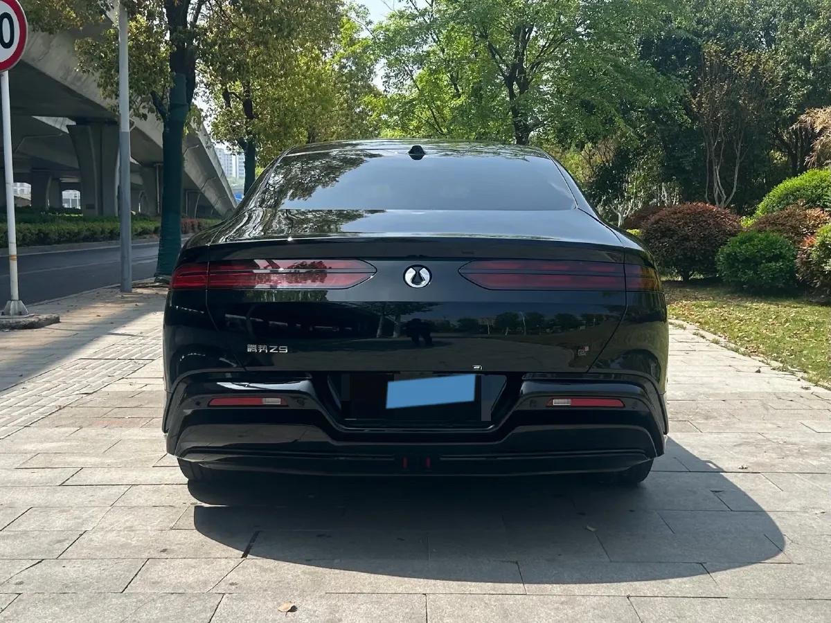 2024 Denza DenzaZ9 2.0T 207HP L4 E-CVT PHEV 38.5KWH,autocango,china used car exporter,china ev exporter,chinese used car exporter,chinese used ev exporter