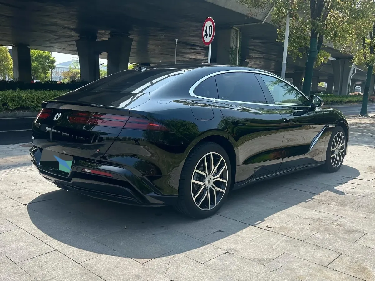 2024 Denza DenzaZ9 2.0T 207HP L4 E-CVT PHEV 38.5KWH,autocango,china used car exporter,china ev exporter,chinese used car exporter,chinese used ev exporter