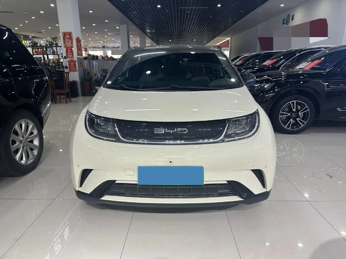 2023 BYD Dolphin BEV 44.928KWH,autocango,china used car exporter,china ev exporter,chinese used car exporter,chinese used ev exporter