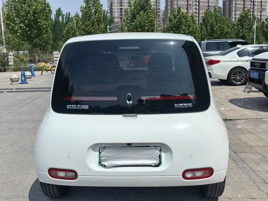2020 Ora WhiteCat BEV 29.4KWH,autocango,china used car exporter,china ev exporter,chinese used car exporter,chinese used ev exporter