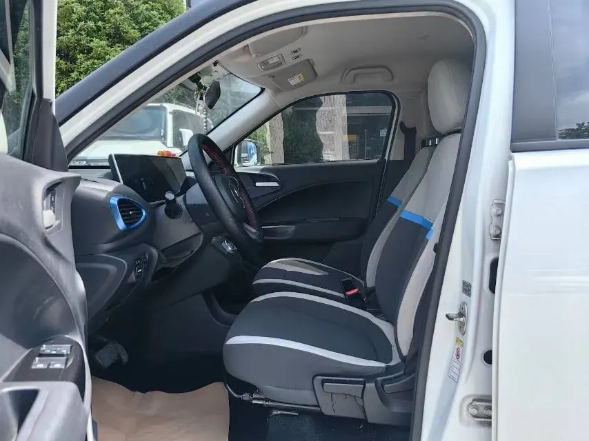 2020 Ora WhiteCat BEV 29.4KWH,autocango,china used car exporter,china ev exporter,chinese used car exporter,chinese used ev exporter