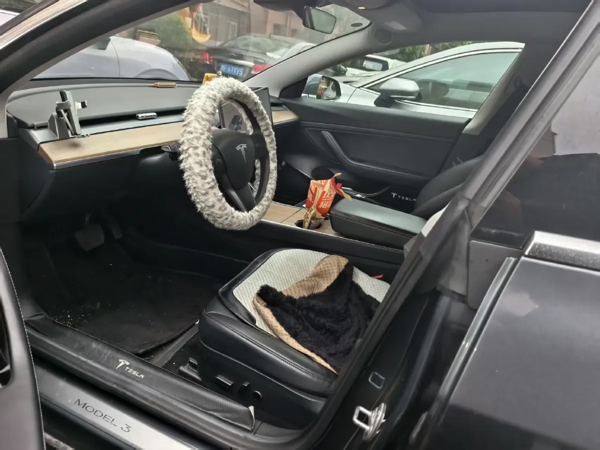 2020 Tesla Model 3 BEV 52KWH,autocango,china used car exporter,china ev exporter,chinese used car exporter,chinese used ev exporter