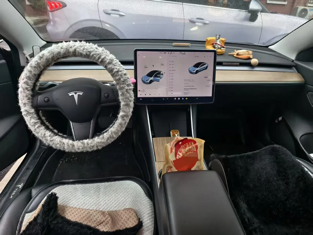 2020 Tesla Model 3 BEV 52KWH,autocango,china used car exporter,china ev exporter,chinese used car exporter,chinese used ev exporter