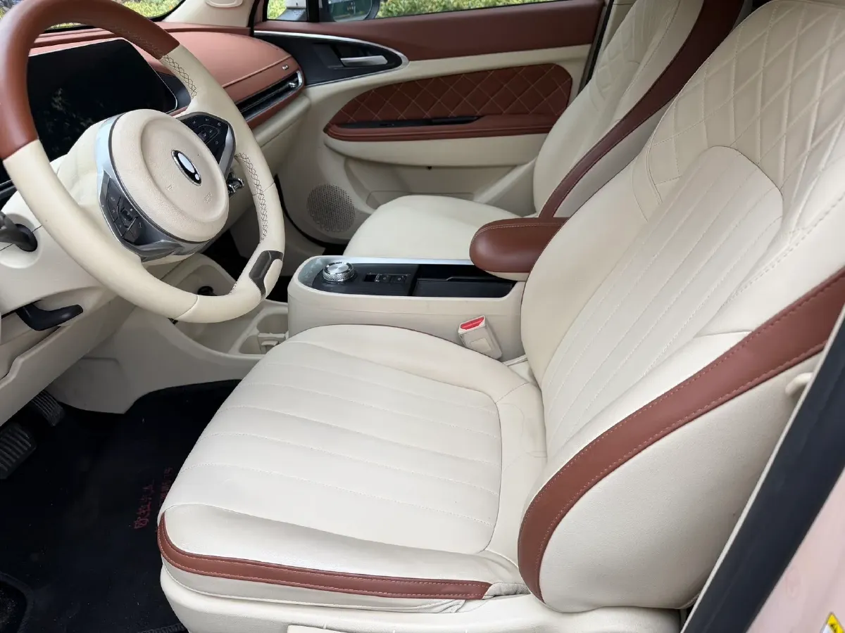 2021 Ora FunkyCat BEV 45.99KWH,autocango,china used car exporter,china ev exporter,chinese used car exporter,chinese used ev exporter