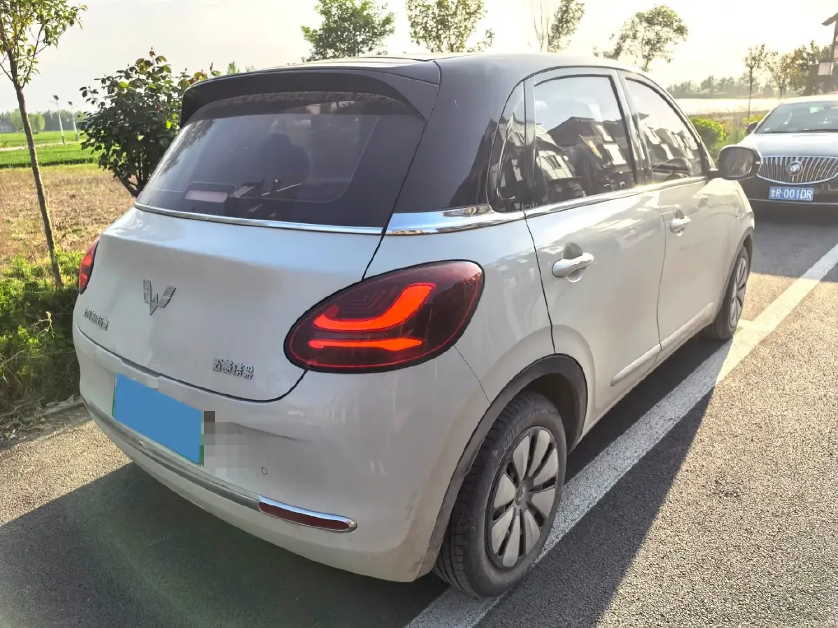 2023 WuLing BinGuo BEV 31.9KWH,autocango,china used car exporter,china ev exporter,chinese used car exporter,chinese used ev exporter