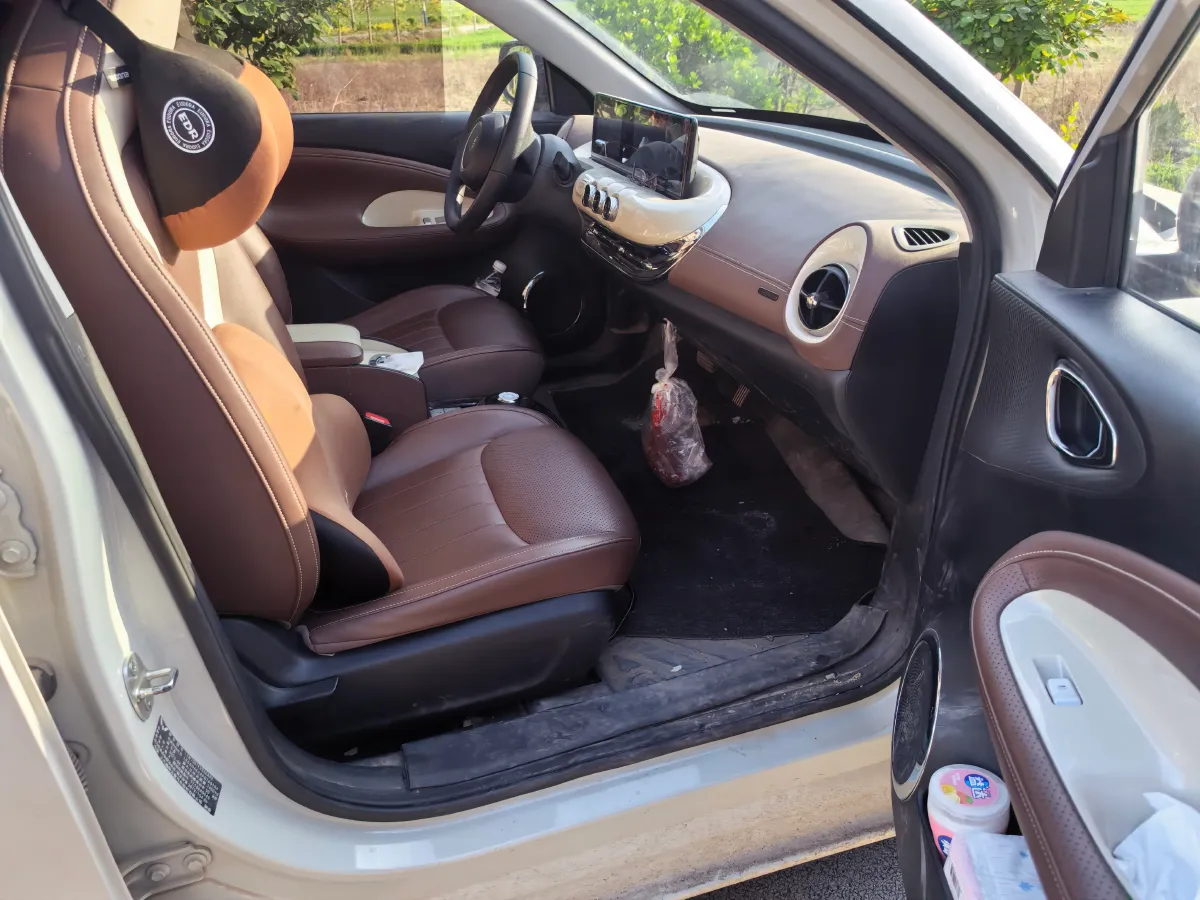 2023 WuLing BinGuo BEV 31.9KWH,autocango,china used car exporter,china ev exporter,chinese used car exporter,chinese used ev exporter