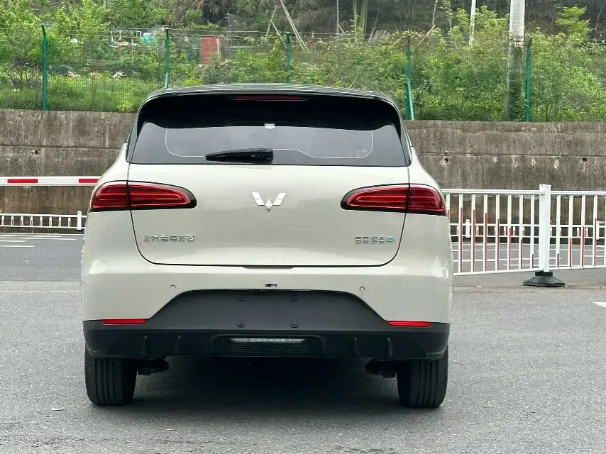 2024 WuLing BinGuoPLUS BEV 31.9KWH,autocango,china used car exporter,china ev exporter,chinese used car exporter,chinese used ev exporter