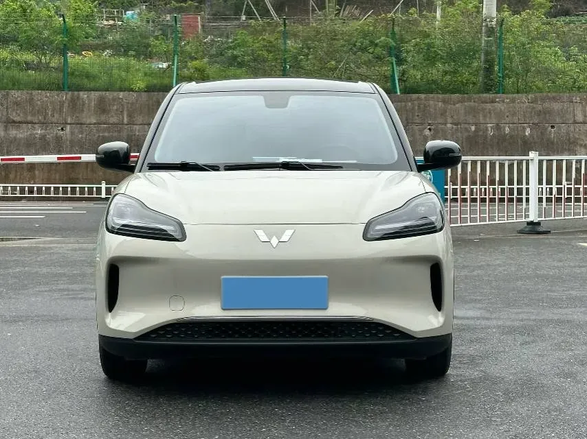 2024 WuLing BinGuoPLUS BEV 31.9KWH,autocango,china used car exporter,china ev exporter,chinese used car exporter,chinese used ev exporter
