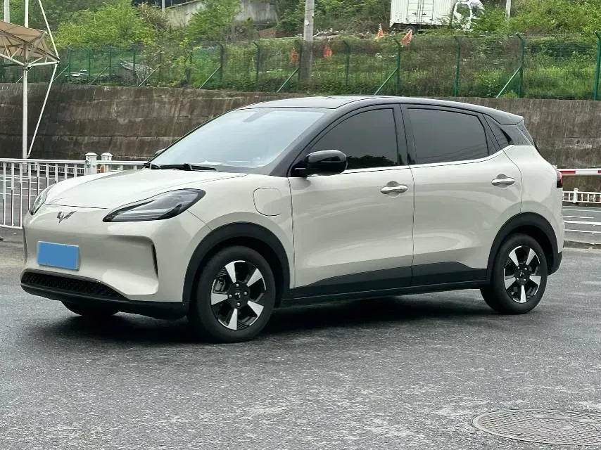 2024 WuLing BinGuoPLUS BEV 31.9KWH,autocango,china used car exporter,china ev exporter,chinese used car exporter,chinese used ev exporter