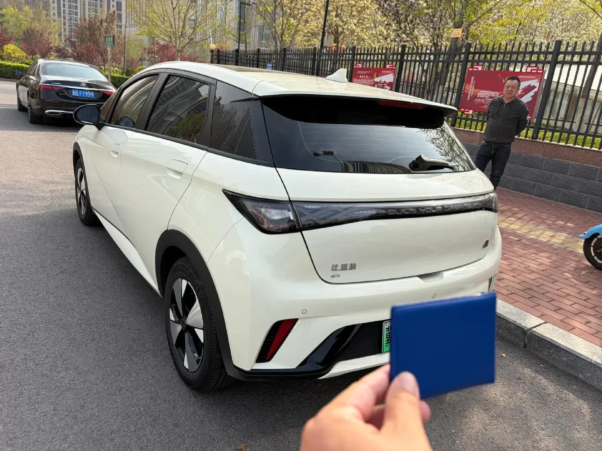 2023 BYD Dolphin BEV 44.928KWH,autocango,china used car exporter,china ev exporter,chinese used car exporter,chinese used ev exporter