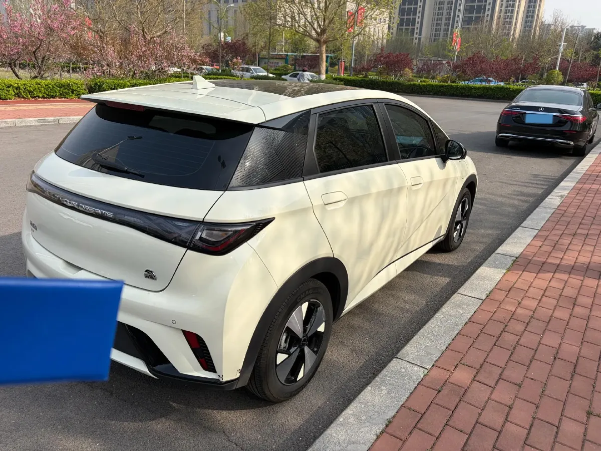 2023 BYD Dolphin BEV 44.928KWH,autocango,china used car exporter,china ev exporter,chinese used car exporter,chinese used ev exporter