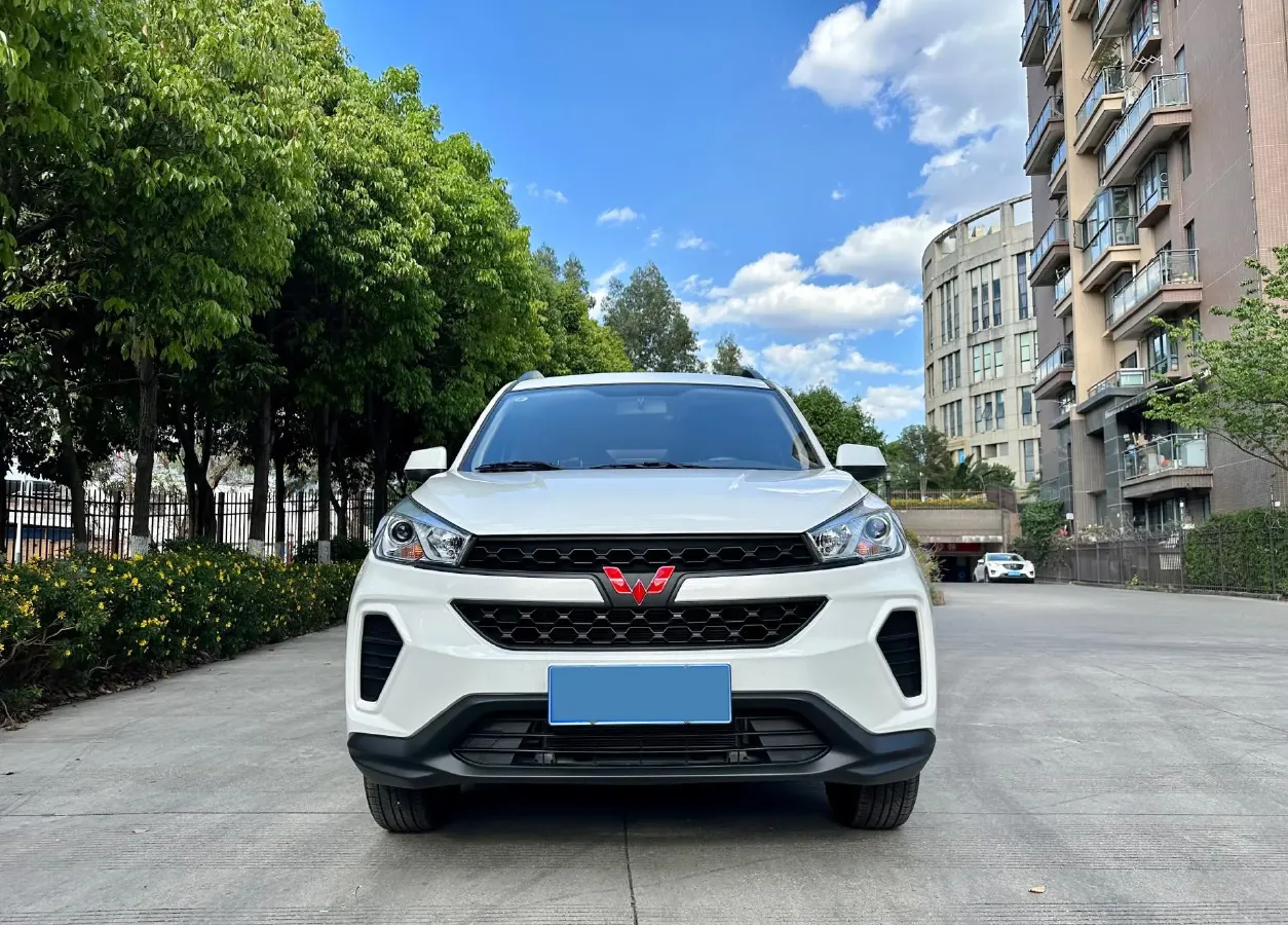 2019 WuLing HongGuang S3 1.5L 99HP L4 6MT,autocango,china used car exporter,china ev exporter,chinese used car exporter,chinese used ev exporter