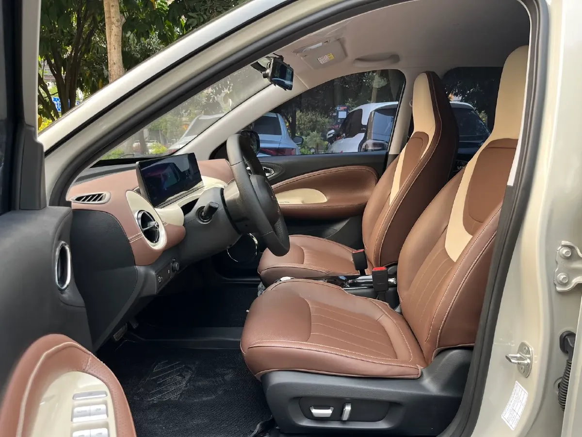 2024 WuLing BinGuo BEV 37.9KWH,autocango,china used car exporter,china ev exporter,chinese used car exporter,chinese used ev exporter