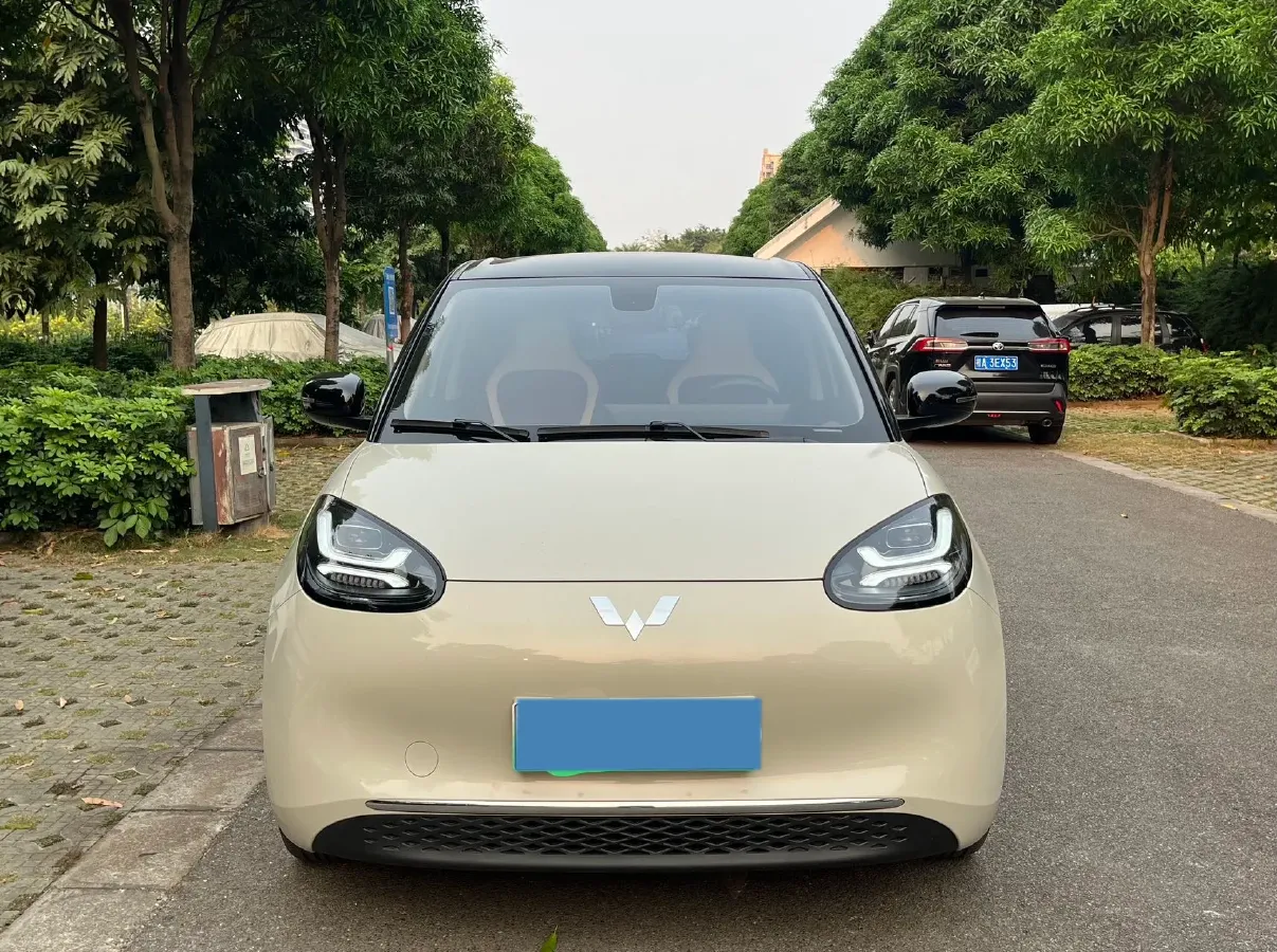 2024 WuLing BinGuo BEV 37.9KWH,autocango,china used car exporter,china ev exporter,chinese used car exporter,chinese used ev exporter