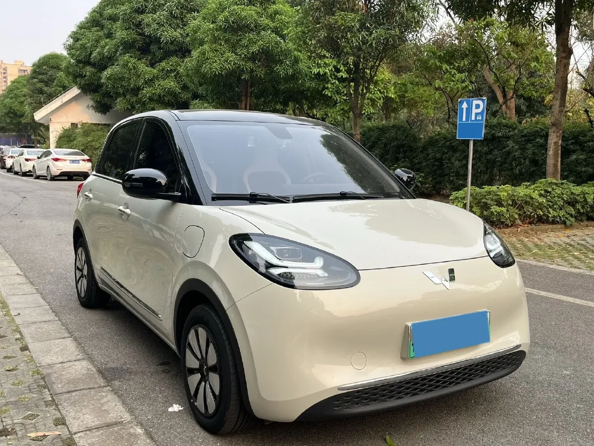 2024 WuLing BinGuo BEV 37.9KWH,autocango,china used car exporter,china ev exporter,chinese used car exporter,chinese used ev exporter