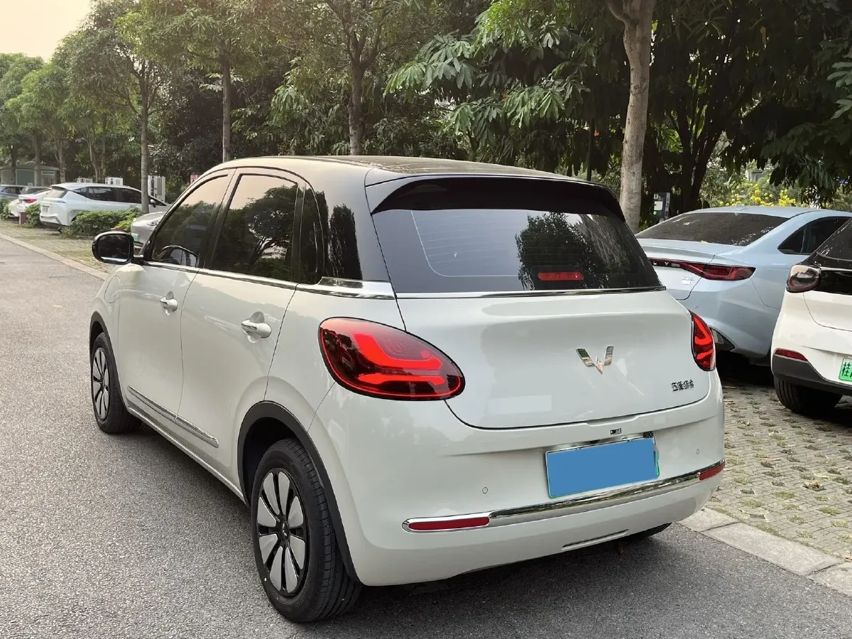 2024 WuLing BinGuo BEV 37.9KWH,autocango,china used car exporter,china ev exporter,chinese used car exporter,chinese used ev exporter