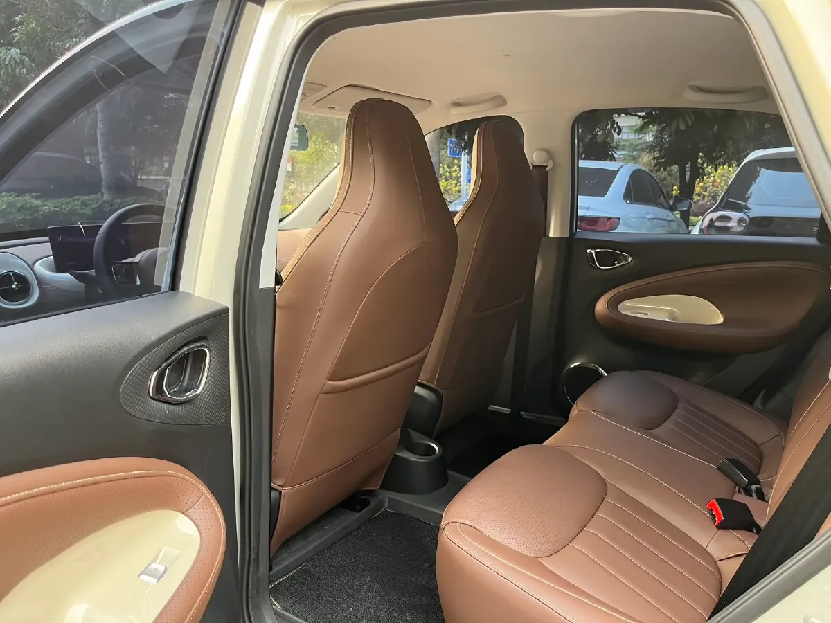 2024 WuLing BinGuo BEV 37.9KWH,autocango,china used car exporter,china ev exporter,chinese used car exporter,chinese used ev exporter