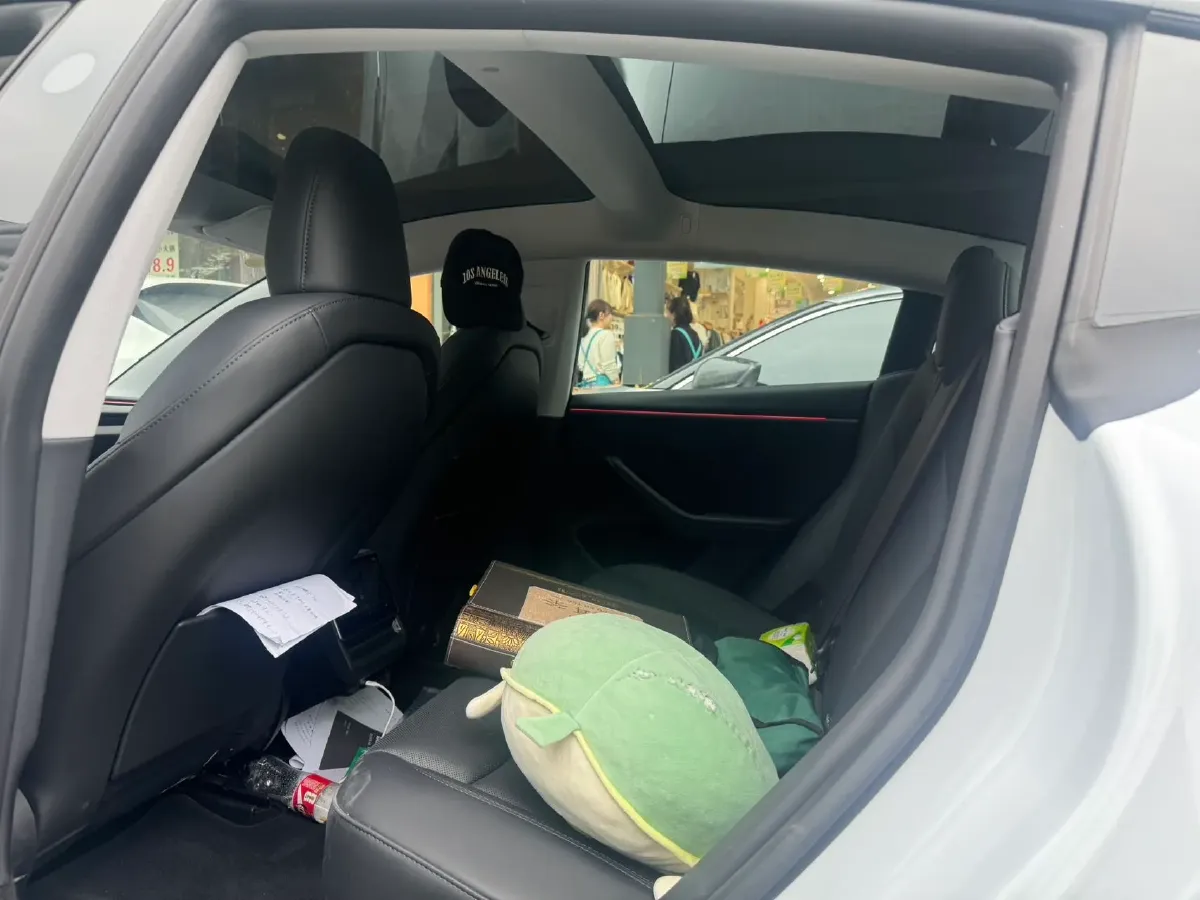 2025 Tesla Model 3 BEV,autocango,china used car exporter,china ev exporter,chinese used car exporter,chinese used ev exporter