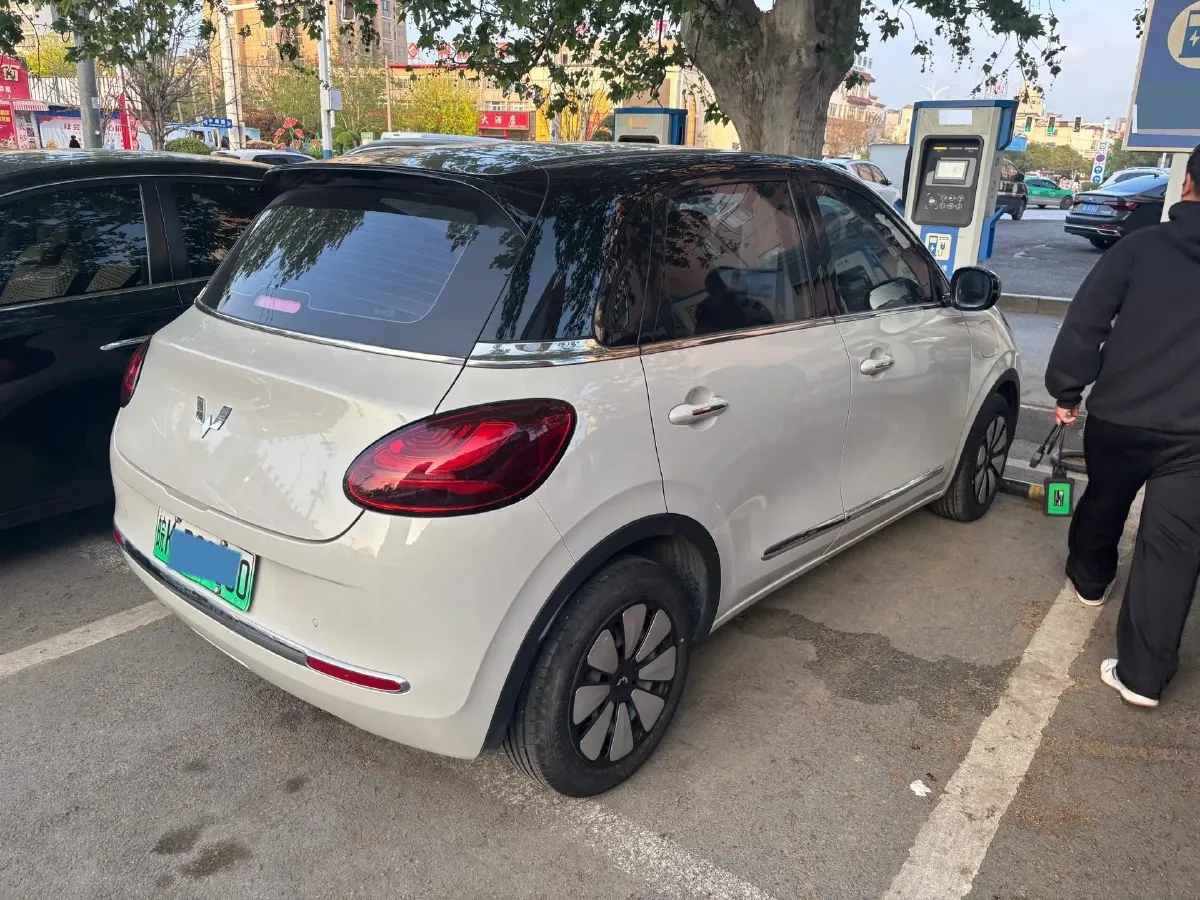 2024 WuLing BinGuo BEV 31.9KWH,autocango,china used car exporter,china ev exporter,chinese used car exporter,chinese used ev exporter