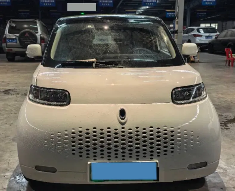 2020 Ora WhiteCat BEV 29.4KWH,autocango,china used car exporter,china ev exporter,chinese used car exporter,chinese used ev exporter