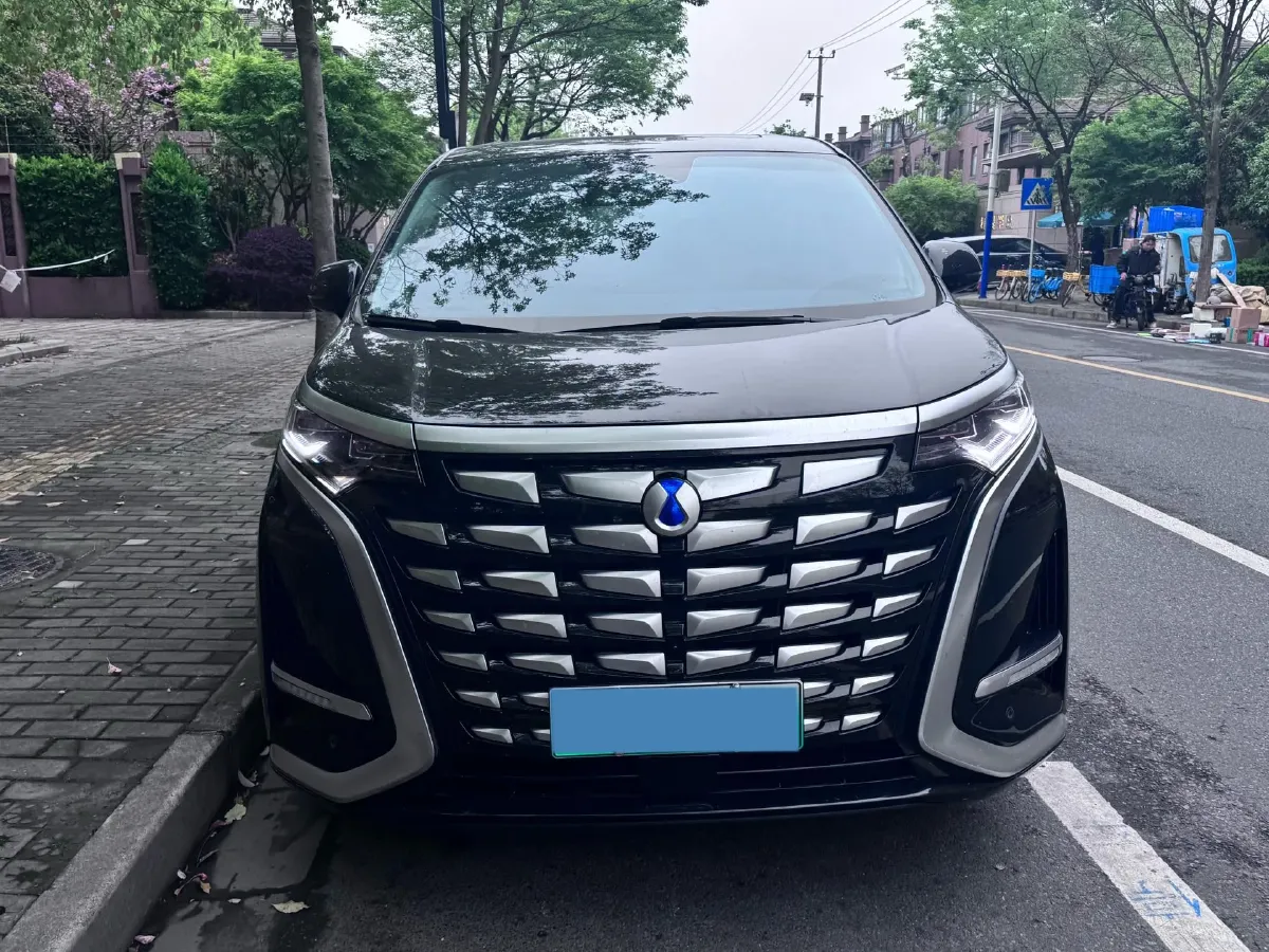 2024 Denza D9 1.5T 139HP L4 E-CVT PHEV 40KWH,autocango,china used car exporter,china ev exporter,chinese used car exporter,chinese used ev exporter