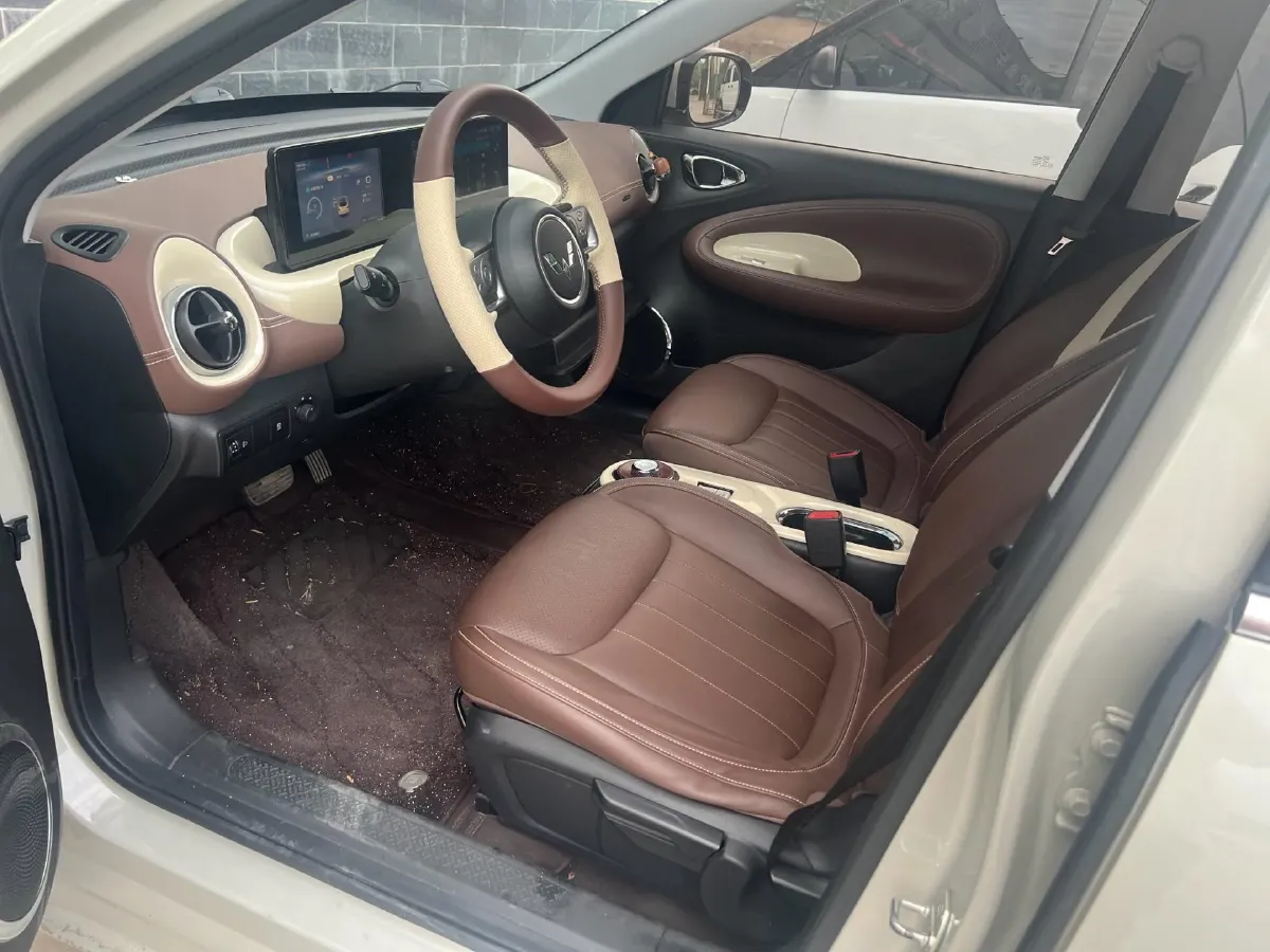 2023 WuLing BinGuo BEV 31.9KWH,autocango,china used car exporter,china ev exporter,chinese used car exporter,chinese used ev exporter