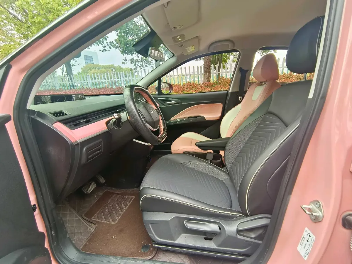 2021 Neta V BEV 38.54KWH,autocango,china used car exporter,china ev exporter,chinese used car exporter,chinese used ev exporter