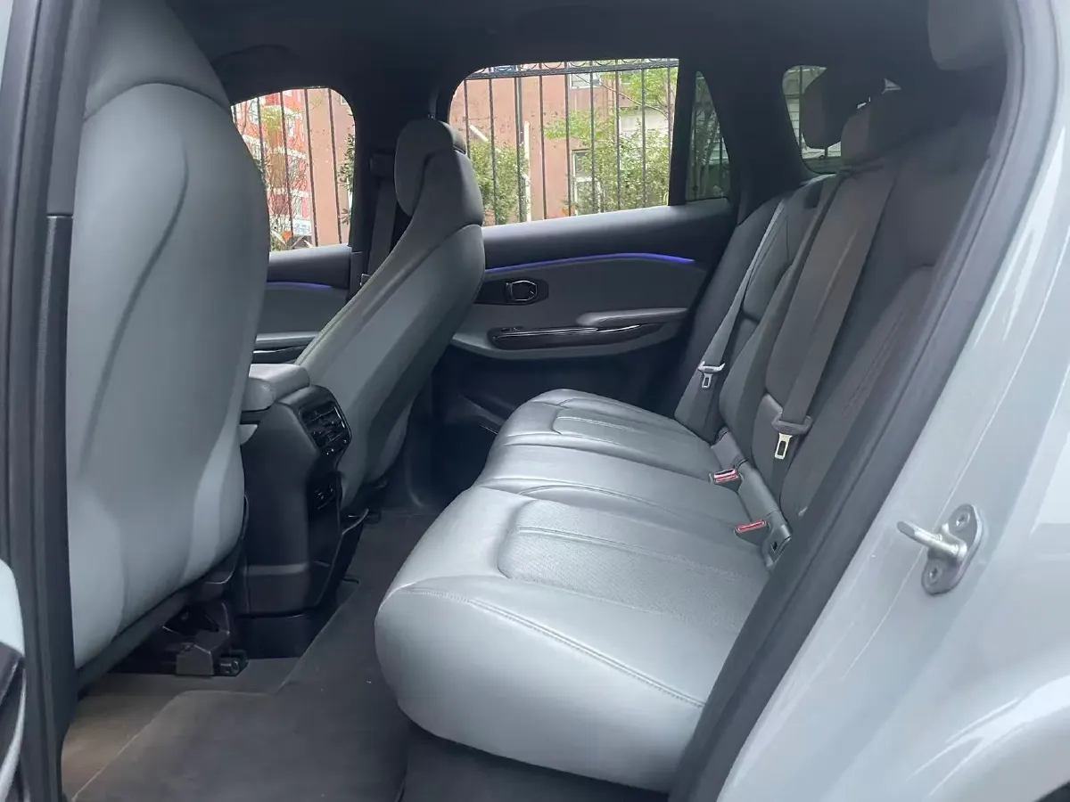 2020 Lexus NX 2.5L 155HP L4 E-CVT Hybrid,autocango,china used car exporter,china ev exporter,chinese used car exporter,chinese used ev exporter