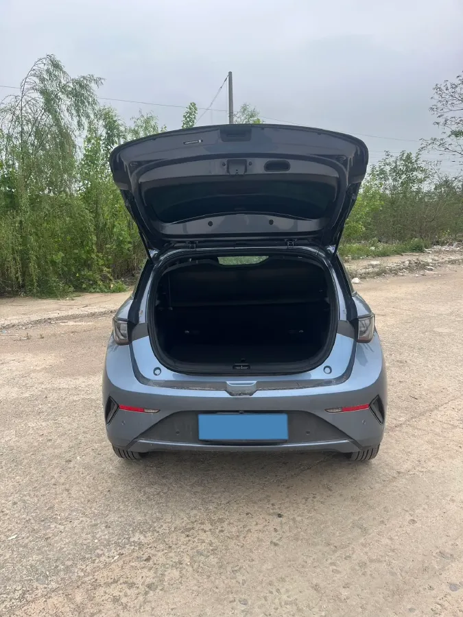 2025 BYD Dolphin BEV 45.12KWH,autocango,china used car exporter,china ev exporter,chinese used car exporter,chinese used ev exporter