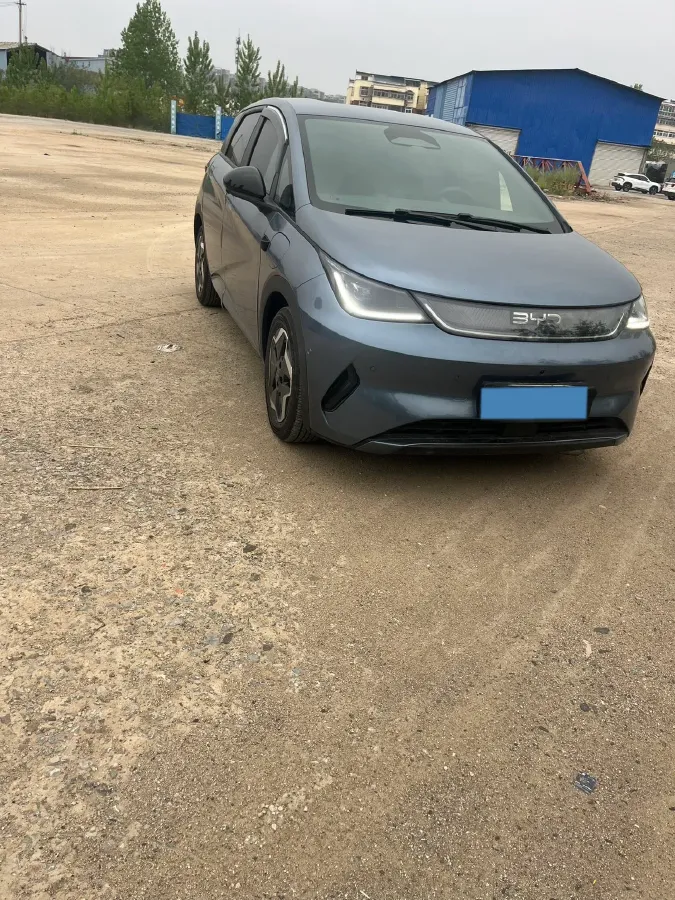 2025 BYD Dolphin BEV 45.12KWH,autocango,china used car exporter,china ev exporter,chinese used car exporter,chinese used ev exporter