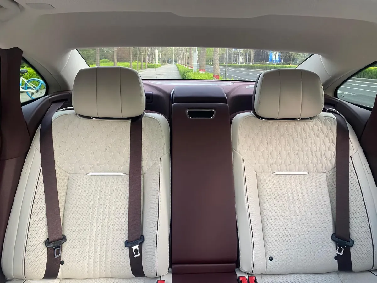 2020 HongQi H9 3.0T 283HP V6 7DCT,autocango,china used car exporter,china ev exporter,chinese used car exporter,chinese used ev exporter