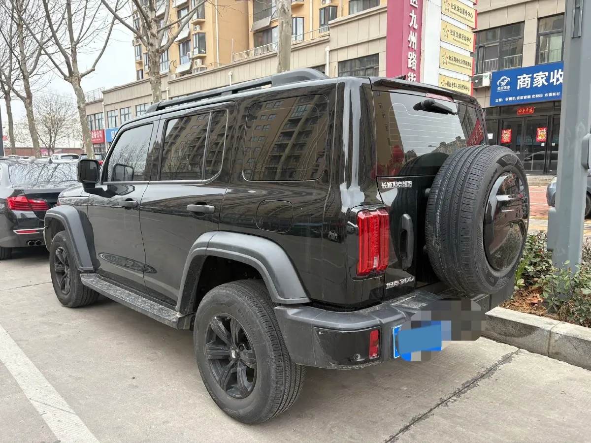 2023 Tank 300 2.0T 227HP L4 8AT,autocango,china used car exporter,china ev exporter,chinese used car exporter,chinese used ev exporter