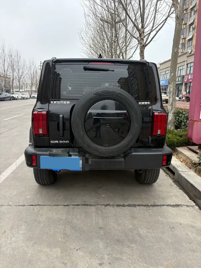 2023 Tank 300 2.0T 227HP L4 8AT,autocango,china used car exporter,china ev exporter,chinese used car exporter,chinese used ev exporter