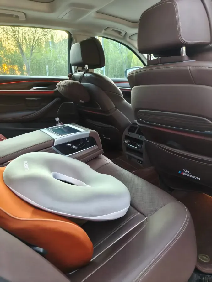 2022 BMW 5 Series 2.0T 252HP L4 8AT,autocango,china used car exporter,china ev exporter,chinese used car exporter,chinese used ev exporter