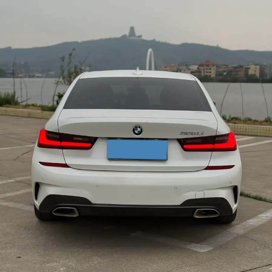 2020 BMW 3 Series 2.0T 156HP L4 8AT,autocango,china used car exporter,china ev exporter,chinese used car exporter,chinese used ev exporter