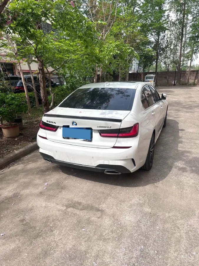 2021 BMW 3 Series 2.0T 184HP L4 8AT,autocango,china used car exporter,china ev exporter,chinese used car exporter,chinese used ev exporter