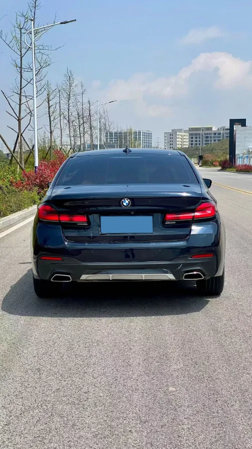 2021 BMW 5 Series 2.0T 184HP L4 8AT,autocango,china used car exporter,china ev exporter,chinese used car exporter,chinese used ev exporter