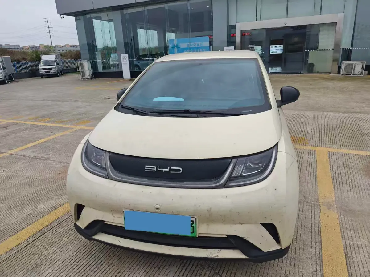 2021 BYD Dolphin BEV 44.9KWH,autocango,china used car exporter,china ev exporter,chinese used car exporter,chinese used ev exporter