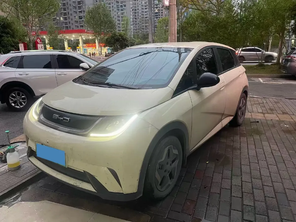 2021 BYD Dolphin BEV 44.9KWH,autocango,china used car exporter,china ev exporter,chinese used car exporter,chinese used ev exporter