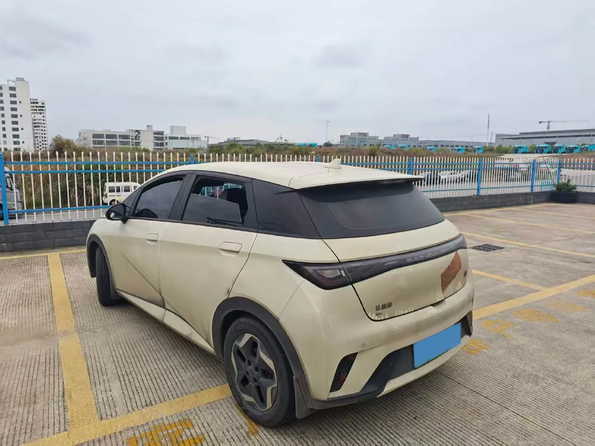 2021 BYD Dolphin BEV 44.9KWH,autocango,china used car exporter,china ev exporter,chinese used car exporter,chinese used ev exporter