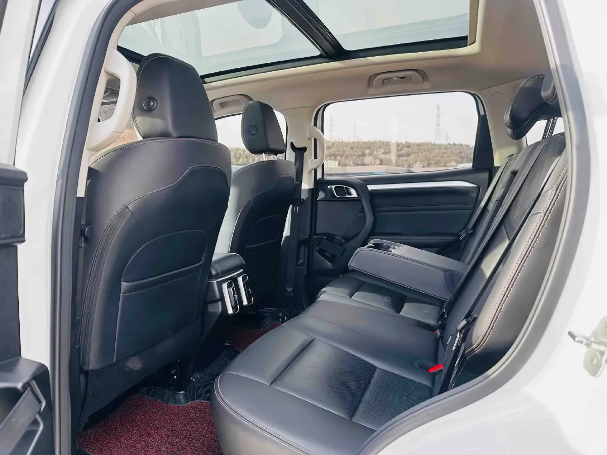 2021 Haval Dargo 2.0T 211HP L4 7DCT,autocango,china used car exporter,china ev exporter,chinese used car exporter,chinese used ev exporter