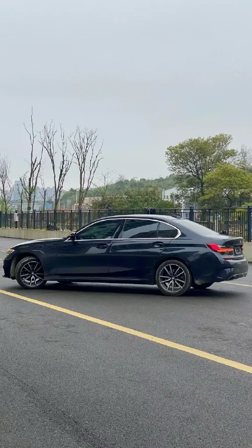 2021 BMW 3 Series 2.0T 156HP L4 8AT,autocango,china used car exporter,china ev exporter,chinese used car exporter,chinese used ev exporter