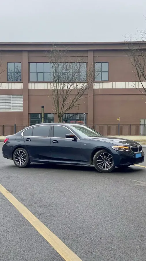 2021 BMW 3 Series 2.0T 156HP L4 8AT,autocango,china used car exporter,china ev exporter,chinese used car exporter,chinese used ev exporter