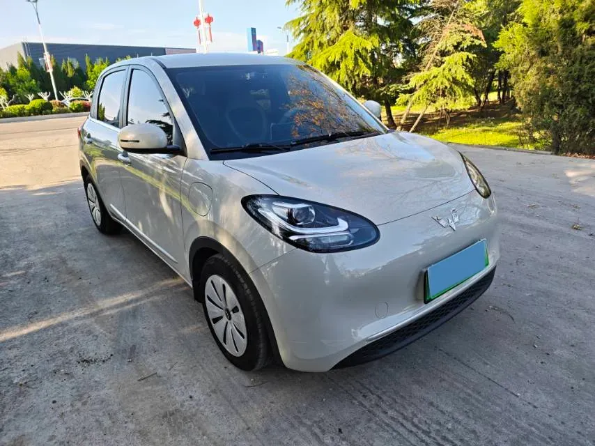 2023 WuLing BinGuo BEV 31.9KWH,autocango,china used car exporter,china ev exporter,chinese used car exporter,chinese used ev exporter